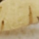 Conch Bangle