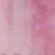 Velvet Petals