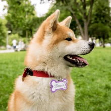 Custom Dog Tags Pendant, Personalised Cat Dog Puppy Pet ID Name Pendants, Collar Tag Pendant Pet Accessories Bone Glitter Pendant, Perfect Gift For Your Pet Ornamental,Sequins Stylish,Contracted,Cute,Cuties,Fashion,Colorful Unique,Customized Christmas Decor,Dog Name/ID Tags Personalized,Treasure Finds Ideal Gifts For Him Her,Family,Friends,Pet Lovers,Pet For Anniversaries,For Birthdays,For Christmas,For Housewarming,For Fall/Autumn/Winter