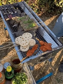 Großer Edelstahl Outdoor Barbecue Grill, tragbarer Klapp-Barbecue Ofen für Partys, Camping, Heimgebrauch