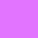 Floral-Purple