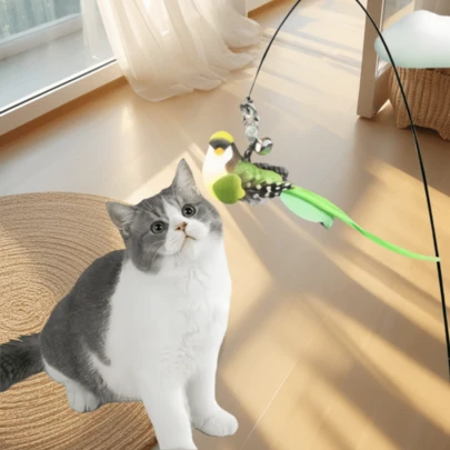 新款DIY逗猫棒，配有可替换的逼真鸟头，猫玩具钓竿，手持式/可拆卸式，可更换猫玩具，生日和节日礼物，宠物用品