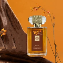 1pc 100ml Natural Wood Sandalwood Spray Is , Elegant, And Comfortable For Men And Women. It Is Suitable For Parties, Travel And Daily Use. It Is Very Portable. It Is An Ideal Gift For Valentine's Day And Birthday, Portable