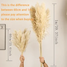 Set da 10/20 pezzi, fiori secchi soffici per decorazione, erba pampas alta, ideale per decorare tavoli da matrimonio bohémien (smontaggio all'aperto), decorazioni autunnali