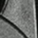 màu đen