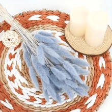 30/60/100/120/140 件装波西米亚风彩色兔尾草花束，适合家居装饰、婚礼中心摆设、春季斋月复活节母亲节情人节礼物、秋季装饰