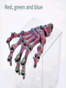 3D Printed Skeleton Hand Decoration, Realistic Bone Claw Model, Horror Props For Halloween, Easter, Party, Graduation/Back To School Gift - Multicolor - View 11