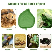 1 pezzo Ciotola per cibo e acqua a forma di foglia, adatta per tartarughe, lucertole, serpenti e altri animali da compagnia rettili, disponibile in 2 misure