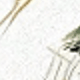 Nhiều màu