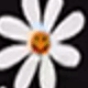 متعدد الألوان