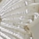 White+Gold
