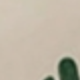 彩色