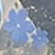 شفاف