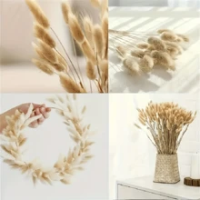 Boho Chic Artificial Pampas Grass - Natural Dried Hare's-Tail Grass In White & Beige, Rustic Vase Filler For Home & Outdoor Decor, Perfect For Easter, St. Patrick's Day, Valentine's, Mother's Day & Graduation Centerpieces & Crafts, No Power Needed, Garden Decorations - Multicolor - View 9