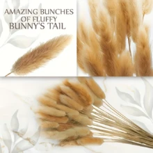 Boho Chic Artificial Pampas Grass - Natural Dried Hare's-Tail Grass In White & Beige, Rustic Vase Filler For Home & Outdoor Decor, Perfect For Easter, St. Patrick's Day, Valentine's, Mother's Day & Graduation Centerpieces & Crafts, No Power Needed, Garden Decorations - Multicolor - View 7