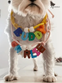 1 Stück personalisierte Acryl Haustier-Namenskette, Bonbonfarben Haustier-Halsband, DIY Haustier-Zubehör, Herbst/Winter