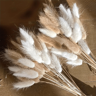 57 pièces Herbe de pampa artificielle de style bohème chic - herbe de queue de lièvre naturelle séchée en blanc et beige, remplissage de vase rustique pour la décoration intérieure et extérieure, parfait pour Pâques, la Saint-Patrick, la Saint-Valentin, la Fête des Mères et les centres de table et artisanat de remise des diplômes. Pas besoin d'électricité. Décorations de jardin, décoration d'automne