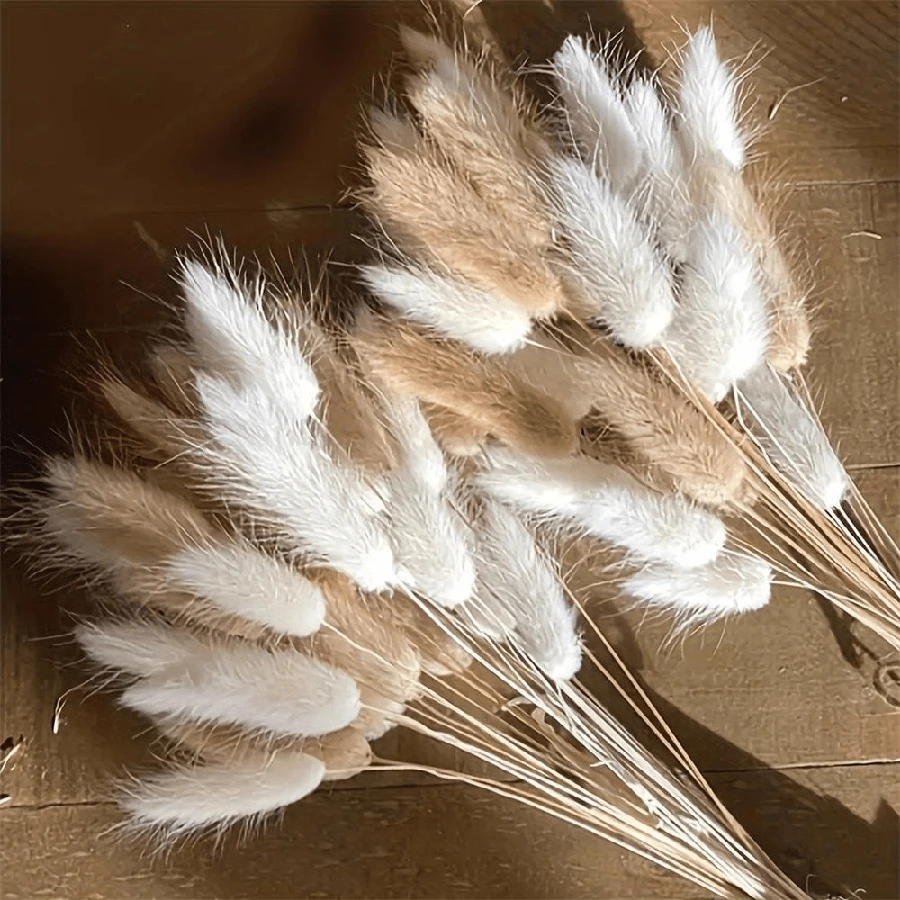 Boho Chic Artificial Pampas Grass - Natural Dried Hare's-Tail Grass In White & Beige, Rustic Vase Filler For Home & Outdoor Decor, Perfect For Easter, St. Patrick's Day, Valentine's, Mother's Day & Graduation Centerpieces & Crafts, No Power Needed, Garden Decorations - Multicolor - View 1