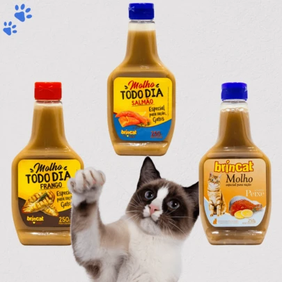 Kit 3 Molhos Para Ração Gatos Todo Dia Brincat Brincalhão 250g Sabores Frango Salmão e Peixe