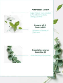 René Furterer ASTERA 头皮舒缓精华 | 洗发前使用，即刻舒缓镇静头皮不适，缓解干燥和瘙痒 | 蕴含薄荷油 | 适用于敏感或受刺激的头皮 (50毫升/1.6液盎司) - 藍色 - 查看 2