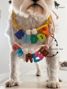 1 Stück personalisierte Acryl Haustier-Namenskette, Bonbonfarben Haustier-Halsband, DIY Haustier-Zubehör, Herbst/Winter