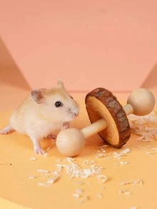 6pcs Hamster Toy Grass Ball Set, Pet Rabbit Guinea Pig Chew Toys, Hamster Accessories Include Chew Sticks, Round Wooden Chew Toys Suitable For Rabbits And Hamsters, Nail Care For Pets - Multicolor - View 3