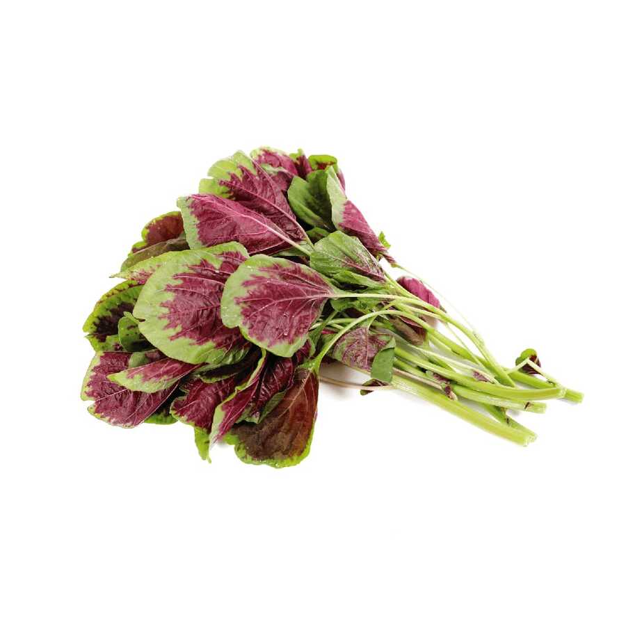 Red Amaranth Seeds Amaranth Seeds Are Easy To Grow White Amaranth Red Amaranth Seeds Horticulture Potted Vegetable Seeds - 100 Seeds - View 1