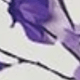 深紫色
