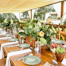 24-częściowy zestaw akcesoriów na imprezę tematyczną w kolorze szałwii zielonej, zestaw na imprezę z okazji ukończenia szkoły w kolorze szałwii zielonej, zawiera 7/9-calowe talerze imprezowe, serwetki imprezowe, kubki imprezowe, odpowiednie na przyjęcie urodzinowe, spotkania rodzinne, piknik na świeżym powietrzu, dekoracje na przyjęcie urodzinowe, dekoracje na ceremonię zaręczynową, zestaw dekoracji na przyjęcie