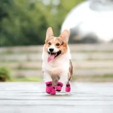 4pcs/Set Waterproof Pet Dog Shoes Chihuahua Anti-Slip Rain Boots Footwear For Small Cats Dogs Puppy Dog Pet Booties, Ideal For Outdoor, Garden Use - Keep Pets Dry And Protected, Garden Pet Shoes,Pet Rain Boots,Pet Shoe - Rose Red - View 6