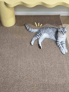1 Pcs Waterproof Non-Slip Cat Scratching Mat , Suitable For Cats And Dogs Durable Mat, Anti-Scratch Design, Multi-Functional Home Decoration, Pet Scratching Board, Modern Cat Furniture, Durable Scratching Mat Feeding Mat - màu nâu - Xem 4