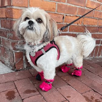 4pcs/Set Waterproof Pet Dog Shoes Chihuahua Anti-Slip Rain Boots Footwear For Small Cats Dogs Puppy Dog Pet Booties, Ideal For Outdoor, Garden Use - Keep Pets Dry And Protected, Garden Pet Shoes,Pet Rain Boots,Pet Shoe