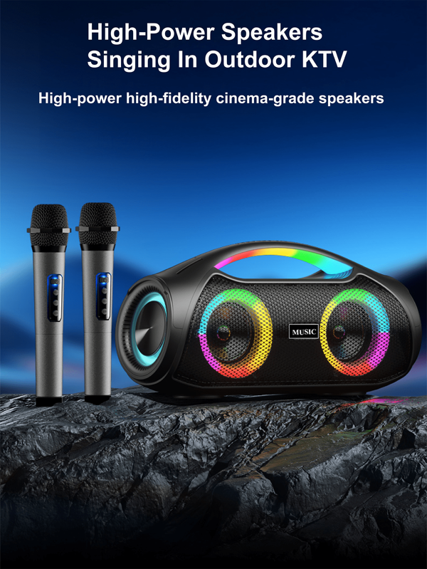 Tagry Dual Microphone Portable Bluetooth Speaker RGB Breathing Light With Microphone IPX5 Waterproof For Camping, Hearing,Gifts