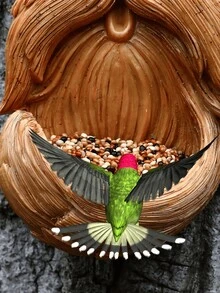 1 件树脸、户外树脸、树艺术、户外树装饰、树脸、树桩装饰、树干脸、户外树装饰、树脸装饰、户外树脸装饰、树眼 - 彩色 - 查看 8