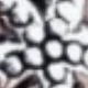 Ancient Silver