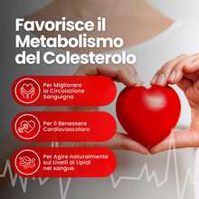 Vitastrong Red Yeast Rice Cholesterol, Cholesterol Supplements With CoQ10, 90 Tablets Red Yeast Rice - Khác - Xem 3