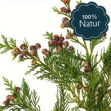 5/10 件天然雪松木花樟脑丸 - 高品质除湿剂，适用于衣柜、抽屉和储藏室家居整理，散发清新香味