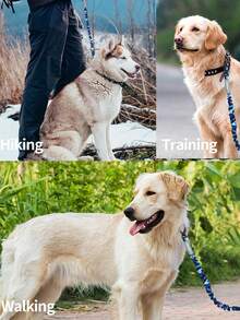 1PC Retractable Dog Leash, Comfortable And Colorful - Heavy Duty No Pull Training Leash With Padded Handle For Medium & Large Dogs - Improved Dog Comfort - 5FT/3.5FT - Multicolor - View 9