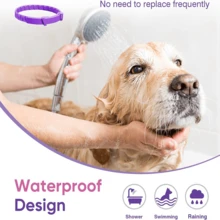 3 件装狗狗舒适项圈 - 60 天佩戴，可调节且轻便，舒缓植物香味，适合小型、中型和大型犬