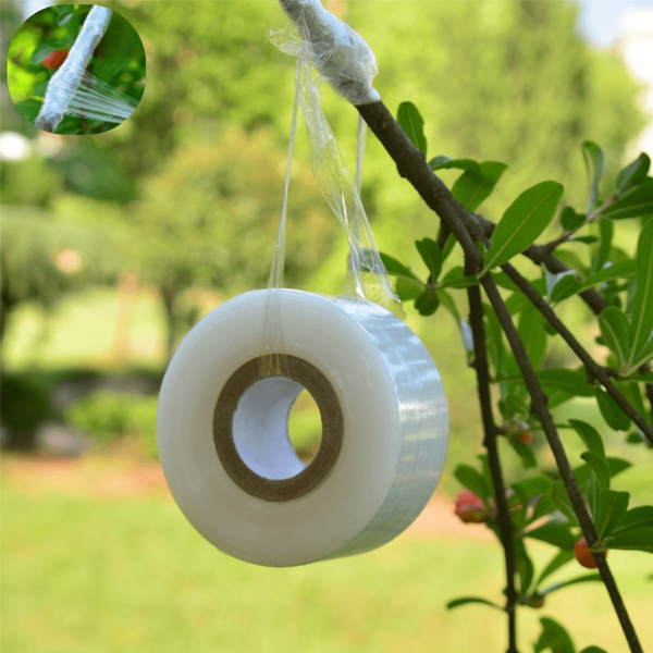 2 rouleaux de film de greffe transparent blanc, film de greffe ultra-fin renforcé, utilisé pour le greffage de fleurs de jardin et d'arbres fruitiers, film d'emballage autoadhésif sans nœud pour fleurs, grande élasticité, ne se casse pas facilement, durable