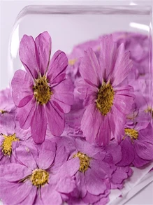 12pcs/Set Pressed Dried Chrysanthemum Flowers, DIY Real Flower Plant Specimen Bookmarks, Creative Face Decor