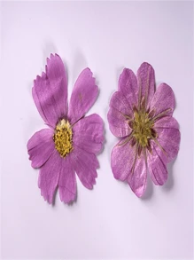 12pcs/Set Pressed Dried Chrysanthemum Flowers, DIY Real Flower Plant Specimen Bookmarks, Creative Face Decor