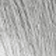 SGray