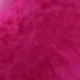 Rose vif