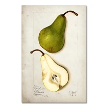 1pc Fruit Kitchen Vintage Antique Canvas Painting Pear Apple Orange Pineapple Wall Art Decorative Picture Canvas Painting Optional Frame