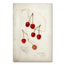 1pc Fruit Kitchen Vintage Antique Canvas Painting Pear Apple Orange Pineapple Wall Art Decorative Picture Canvas Painting Optional Frame