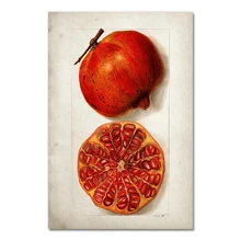 1pc Fruit Kitchen Vintage Antique Canvas Painting Pear Apple Orange Pineapple Wall Art Decorative Picture Canvas Painting Optional Frame