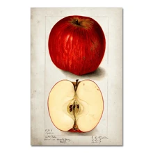 1pc Fruit Kitchen Vintage Antique Canvas Painting Pear Apple Orange Pineapple Wall Art Decorative Picture Canvas Painting Optional Frame