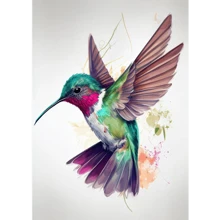1PC Watercolor Colorful Birds Hummingbird Flower Wall Art Canvas Painting For Living Room Home Decor Optional Frame
