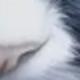 彩色